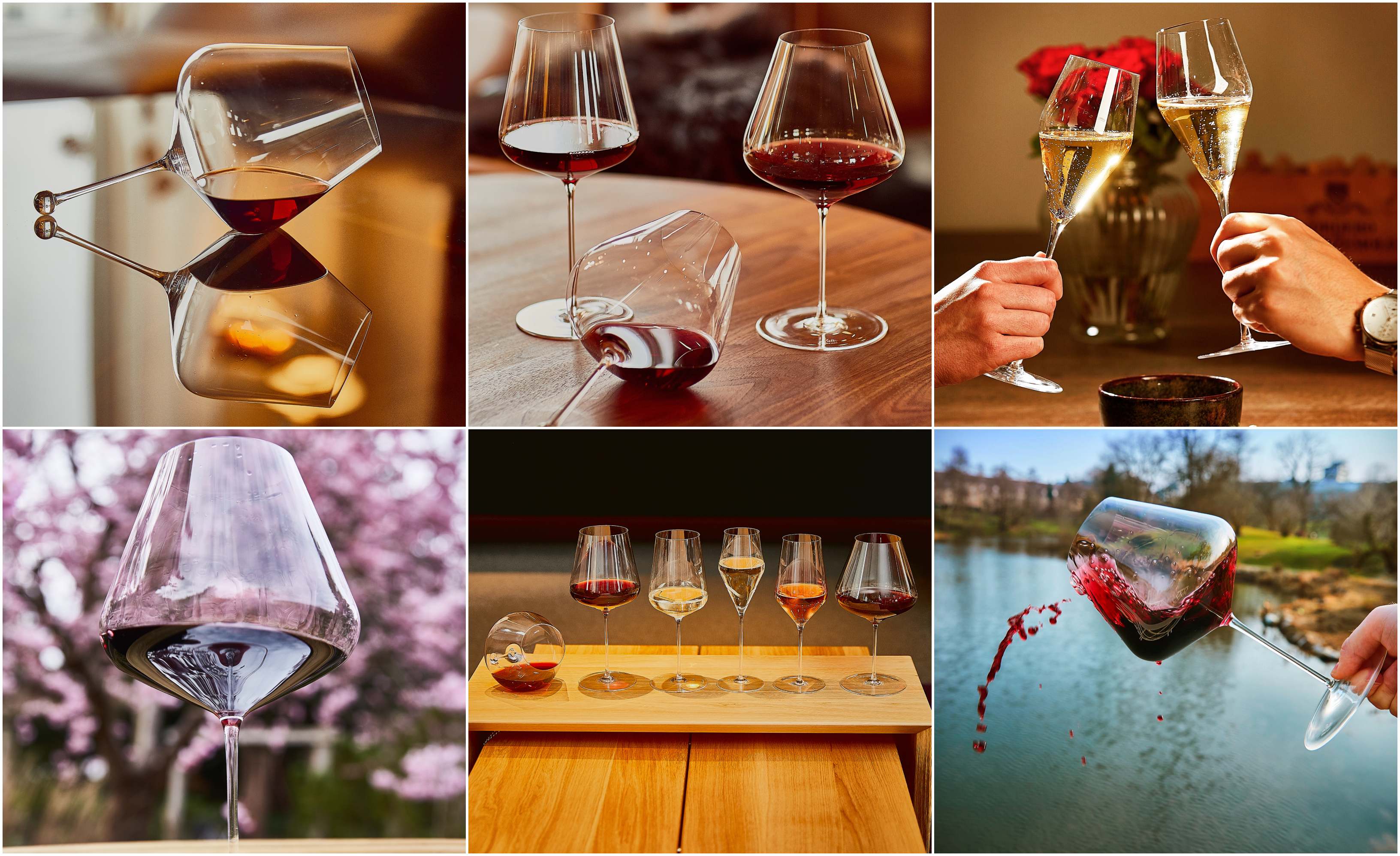 Which Zalto Glass Should You Choose? The Complete Guide