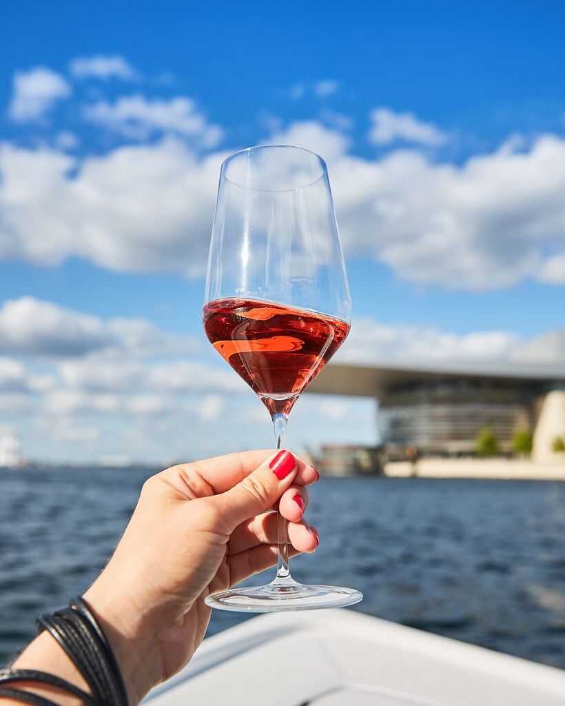 Zalto White Wine, Zalto, Zalto glass, Zalto wine glass, White wine glass, Zalto Denk&#39;art